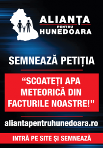 4 Macheta_portrait Petitie - Apa meteorica