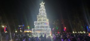 ILUMINAT FESTIV PETROSANI (6)