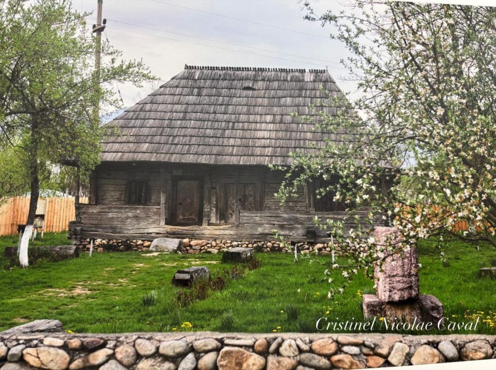 637644329_1308783917735701_6873521772494420623_n