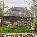 637644329_1308783917735701_6873521772494420623_n