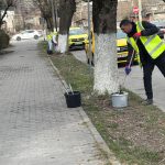 652911803_122253478664171536_6713053494402392720_n