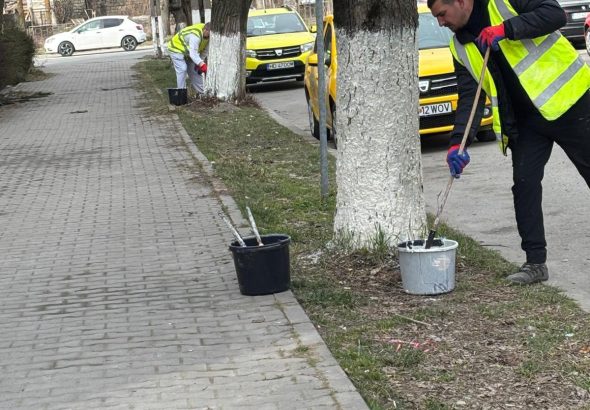 652911803_122253478664171536_6713053494402392720_n