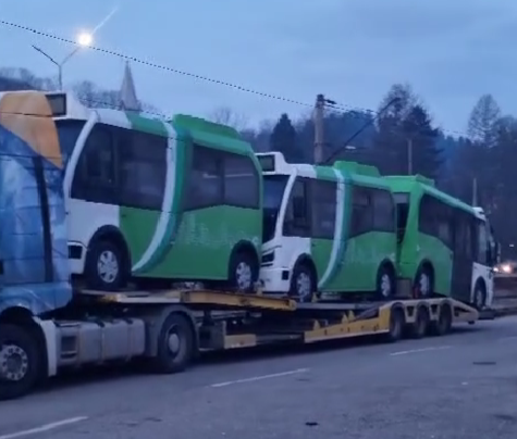 autobuze lupeni