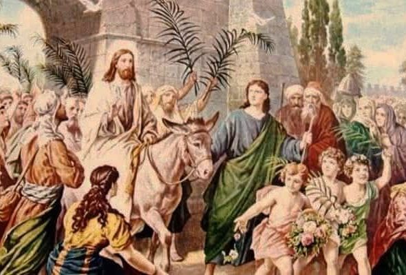 663222624_1281956534140155_8641788879651528959_n