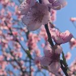 666521384_1344358974178195_7708404209765040814_n