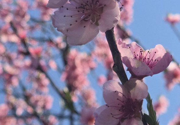 666521384_1344358974178195_7708404209765040814_n